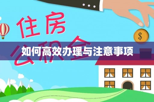 路北如何高效办理与注意事项