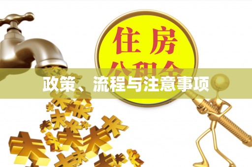 路北政策、流程与注意事项