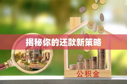 路北揭秘你的还款新策略