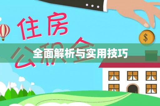 路北全面解析与实用技巧