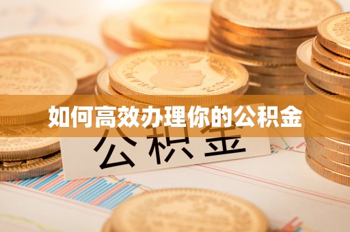 路北如何高效办理你的公积金