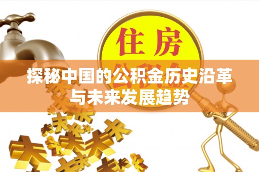 路北探秘中国的公积金历史沿革与未来发展趋势