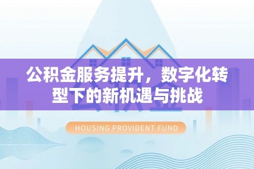 路北公积金服务提升，数字化转型下的新机遇与挑战