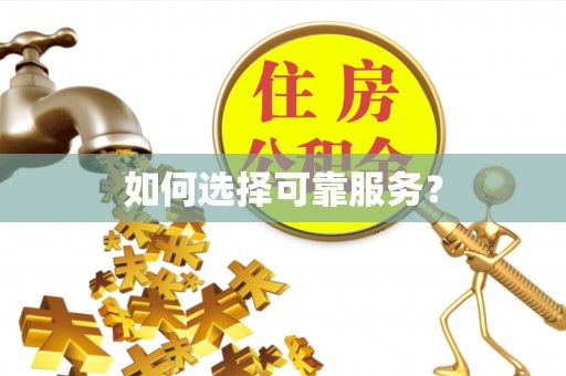 路北如何选择可靠服务？