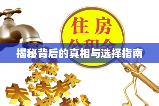 路北揭秘背后的真相与选择指南