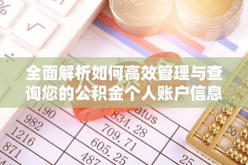 路北全面解析如何高效管理与查询您的公积金个人账户信息