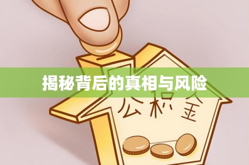 路北揭秘背后的真相与风险