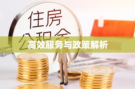 路北高效服务与政策解析