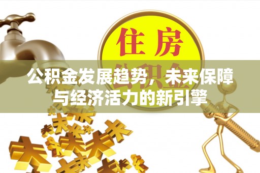 路北公积金发展趋势，未来保障与经济活力的新引擎