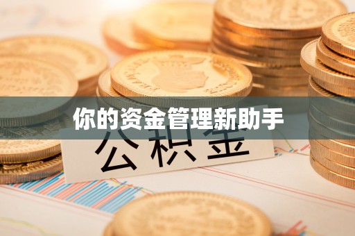 路北你的资金管理新助手