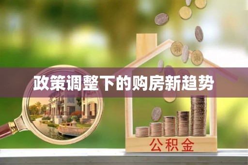 路北政策调整下的购房新趋势