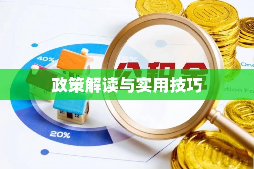 路北政策解读与实用技巧