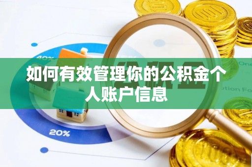 路北如何有效管理你的公积金个人账户信息