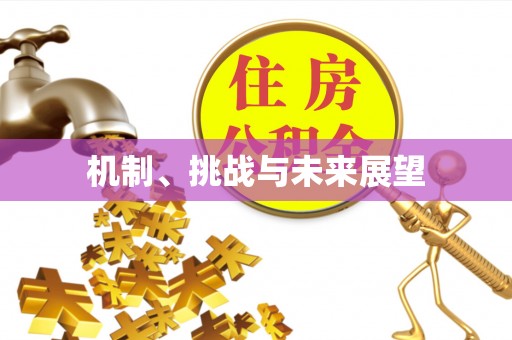 路北机制、挑战与未来展望